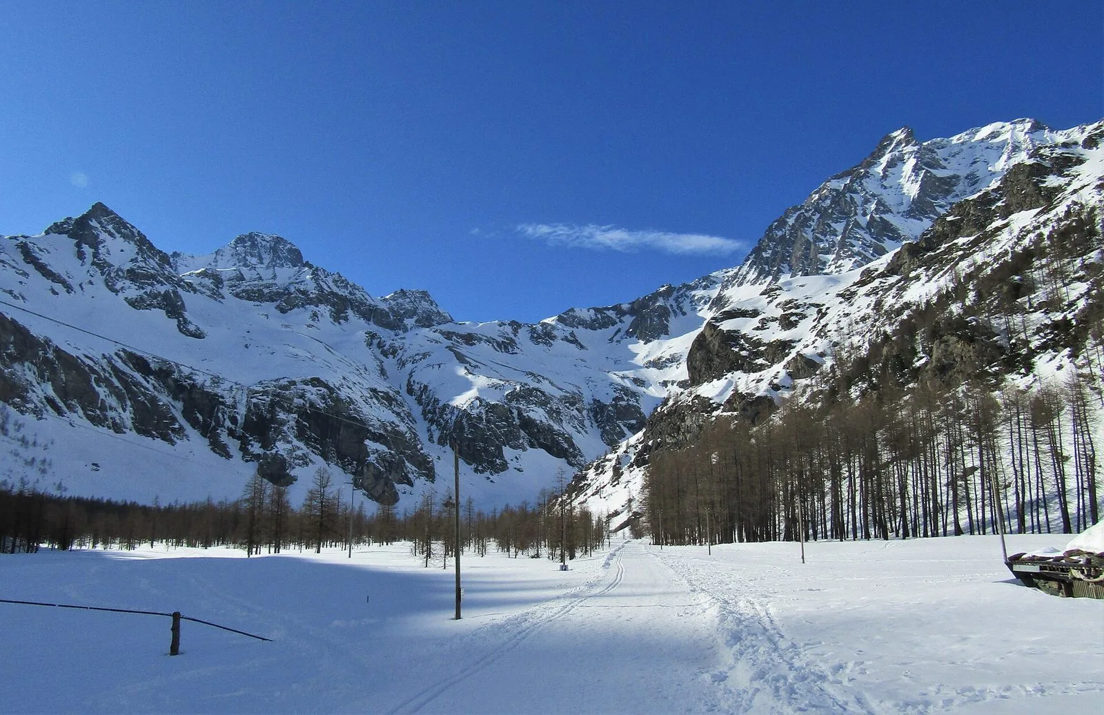 Pian della Mussa innevato con larici e le cime della Val d'Ala sotto un cielo azzurro